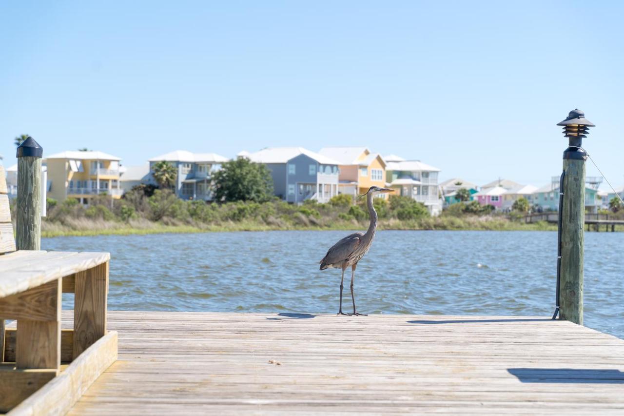Ferienwohnung Compass Point 310 Gulf Shores Exterior foto